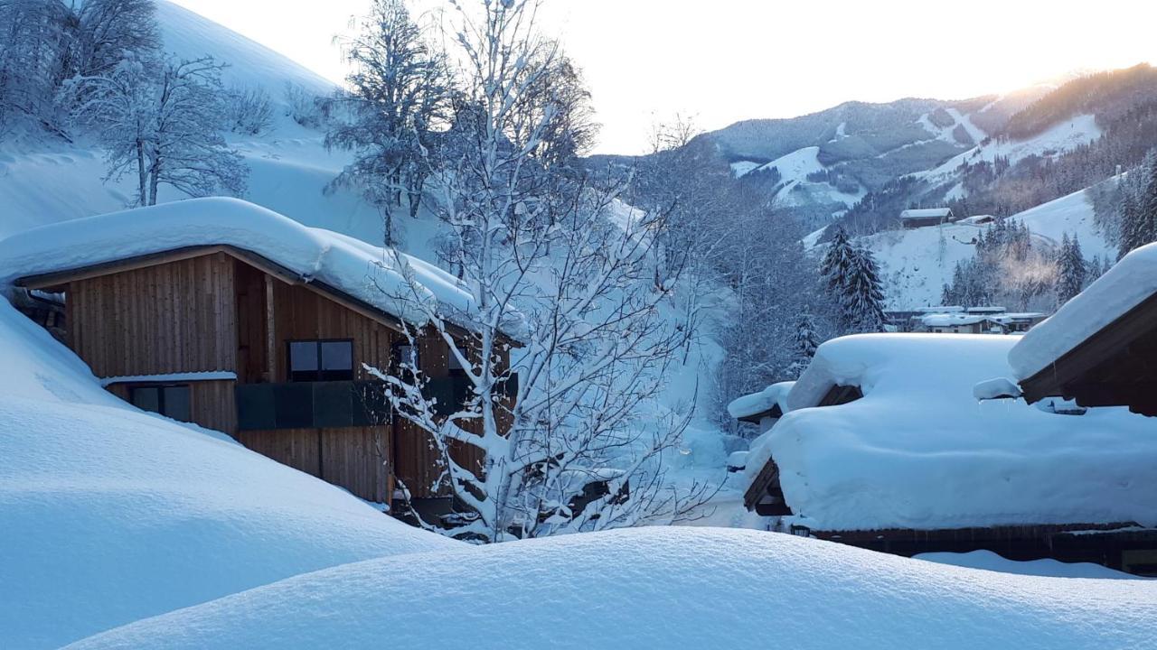 Chalet Ablon Σάαλμπαχ-Χίντεργκλεμ Εξωτερικό φωτογραφία